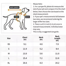 Vêtement chaud pour chat – Pull d’hiver confortable pour chatons