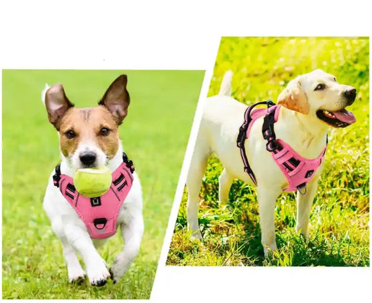 Harnais rembourré doux pour chien – Ajustable avec poignée de contrôle