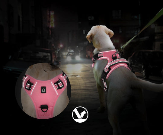 Harnais rembourré doux pour chien – Ajustable avec poignée de contrôle